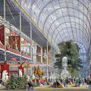 Museums Collection: Crystal Palace