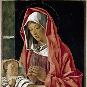 Virgin adoring the child Painting by Francesco Bonsignori (ca