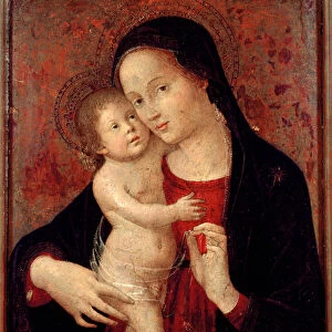Virgin and Child Painting on wood by Antonio Aquili dit Antoniazzo Romano