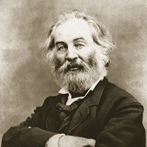 Walt Whitman (photogravure)