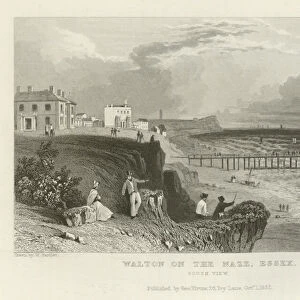 Walton on the Naze, Essex, South View (engraving)
