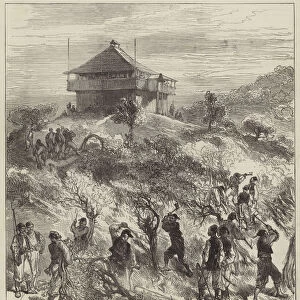 The War in the Herzegovina, Turkish Soldiers felling Trees on Mount Karaula (engraving)