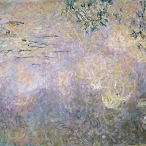 Waterlilies (detail of lower section), 1910