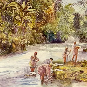 The White River, Jamaica (colour litho)