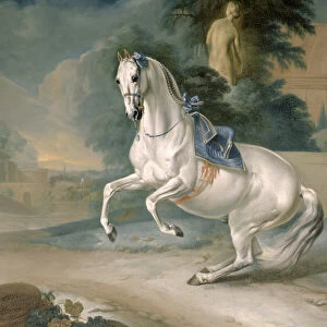The White Stallion Leal en levade, 1721 (oil on canvas)