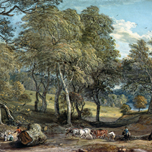 Windsor Forest with Oxen Drawing Timber, 1798 (gouache on paper)