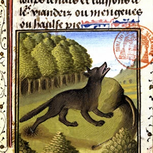 Wolf trap - in "Hunting Book of Gaston Phoebus, Count of Foix