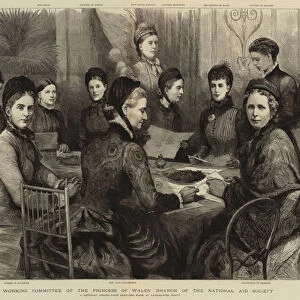 The Working Committee of the Princess of Wales Branch of the National Aid Society (engraving)