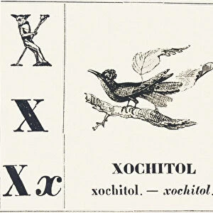 X for Xochitol, 1850 (engraving)