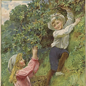 A young girl and a young boy picking blackberries (colour litho)