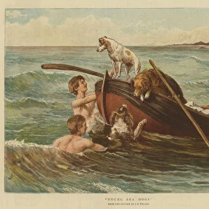 Young Sea Dogs (chromolitho)
