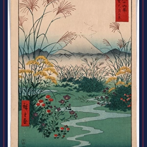 1797-1858 1858. 24. 8 36 Ando Fuji Hiroshige Kai
