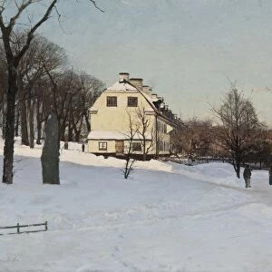 Alfred BergstrAom Winter Skeppsholmen Stockholm