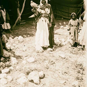 Bedouin falcon hunting 1898 nomadic Arab peoples