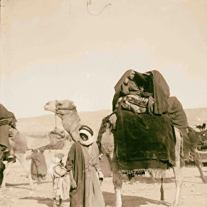 Bedouin wedding Bride -maids camel covered Aba