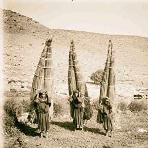Bedouin women laden w / papyrus 1900 Middle East
