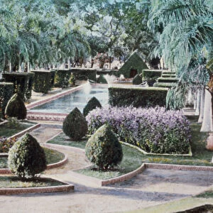 Cairo public gardens Gezireh 1950 Egypt