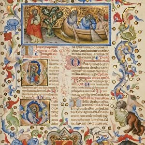 The Calling of Saints Peter and Andrew, Initial D: Saint Andrew