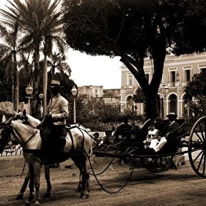Cuban volanta, A, Carriages & coaches, Cuba, Havana, 1890