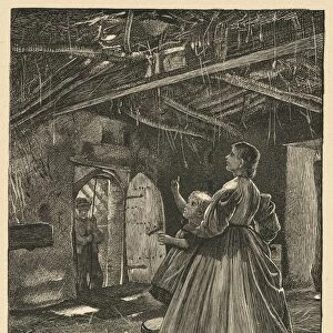 Drawings Prints, Print, Swallows, Wayside Posies, Engraver, Publisher, Artist, Dalziel Brothers