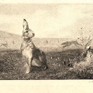 Felix Bracquemond (French, 1833 - 1914). The Hare (Le Lievre). Etching