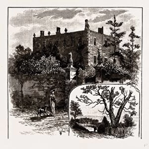 FINCHLEY MANOR HOUSE AND TURPINs OAK, UK, engraving 1881 - 1884