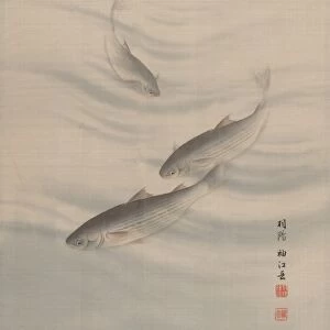 Fishes Swimming Meiji period 1868-1912 ca 1890-92