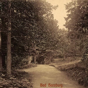 Forest roads Lower Saxony 1908 Bad Harzburg Ministerweg