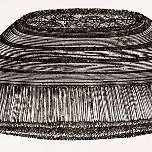 Furniture Brush, 19th Century