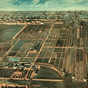 The Great Union Stock Yards of Chicago by by Walsh & Co. circa 1878, US, USA, America