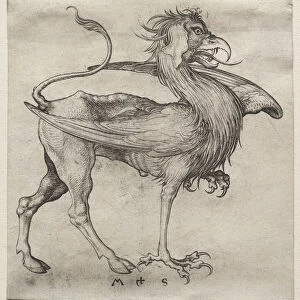 Griffin 1400s Martin Schongauer German 1450-1491
