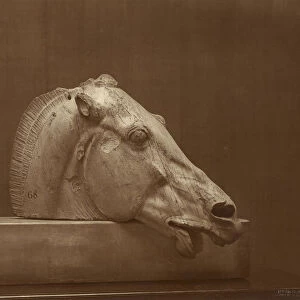 Head Horse Pediment Parthenon British Museum