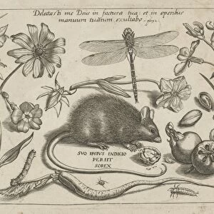 insects, plants and fruits around a rat, print maker: Jacob Hoefnagel, Joris Hoefnagel
