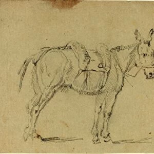 John Flaxman (British, 1755 - 1826), Donkey Stretching a Hind Leg, graphite on laid paper