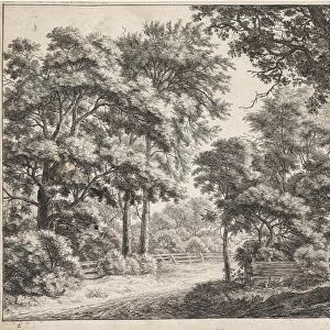 Large trees on either side of a path, Anthonie Waterloo, 1630 - 1663