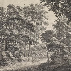 Large trees on either side of a path, Anthonie Waterloo, 1630 - 1663