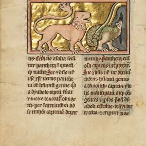 A Lion and a Winged Dragon