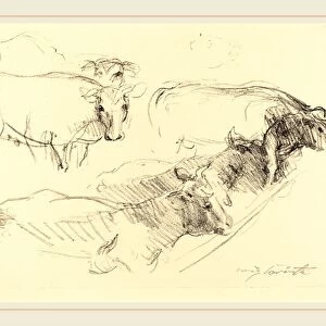 Lovis Corinth, Cows (Kuhe), German, 1858-1925, 1910, lithograph in black on wove paper