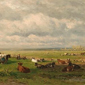 Meadow Landscape Cattle Pasture landscape cattle