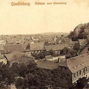 Münzenberg Quedlinburg Castle Churches Views