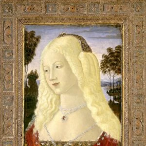 Neroccio de Landi, Portrait of a Lady, Italian, 1447 - 1500, c