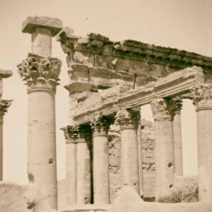 Palmyra Tadmor Capitals pillars Temple Sun 1900