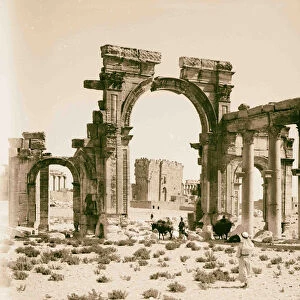 Palmyra Tadmor Triumphal arch entrance colonnade