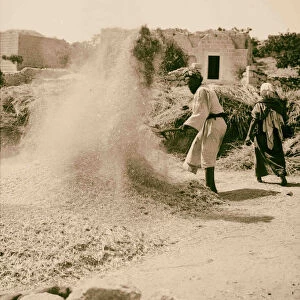 Peasant winnowing Field Boaz 1898 Middle East