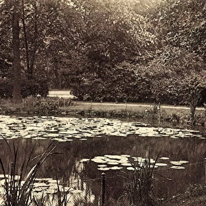 Ponds Chemnitz Parks Saxony 1911 SchloBteich