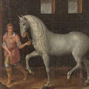Spanish Warhorse Spanish Warhorse Captured Lodewijk Gunther