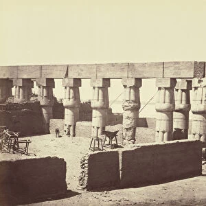 Temple de Louksour Vue generale des colonnades