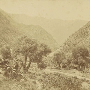 Vallee de l Oued-el-Kabir Algerie Charles Marville