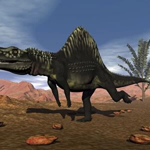 Arizonasaurus dinosaur in the desert with pachypteris trees