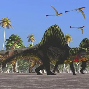 Arizonasaurus dinosaurs follow along with a herd of Plateosaurus